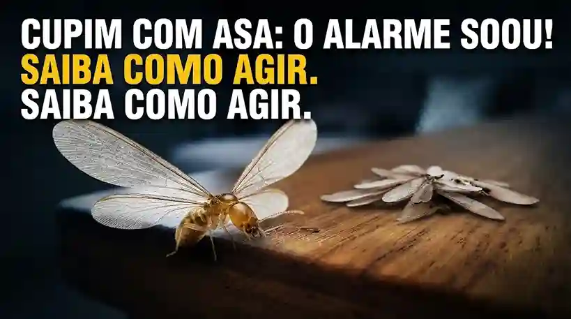Capa para artigo sobre infestação de cupim com asa com título chamativo